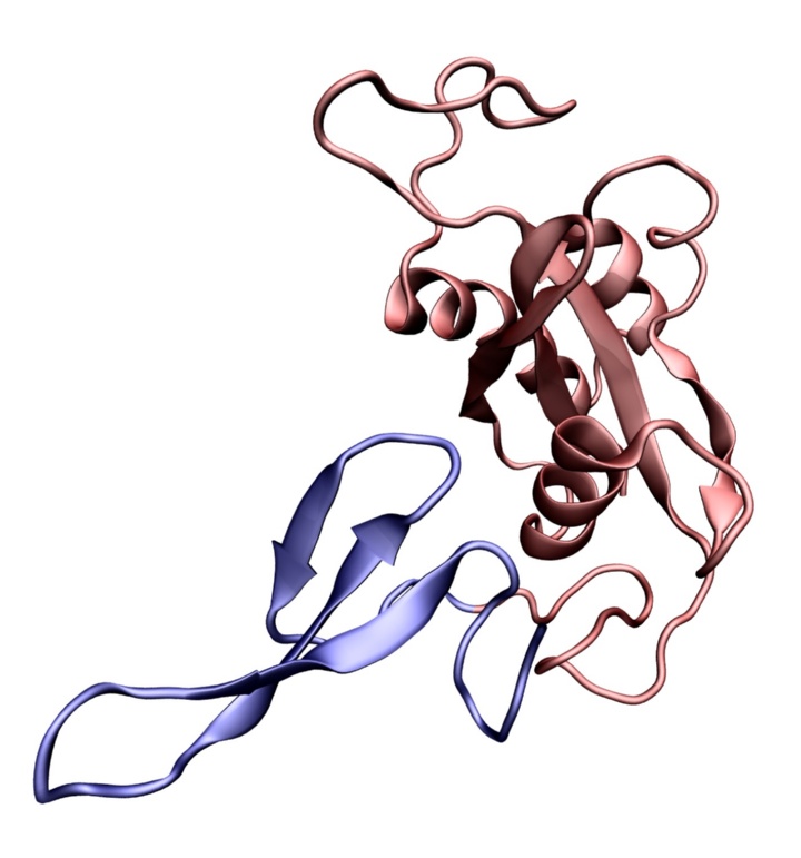 Protein in folded state